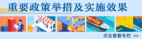 重要政策舉措及實施效果